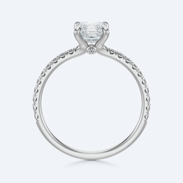 Anima asscher