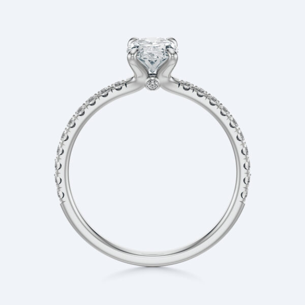 Anima oval