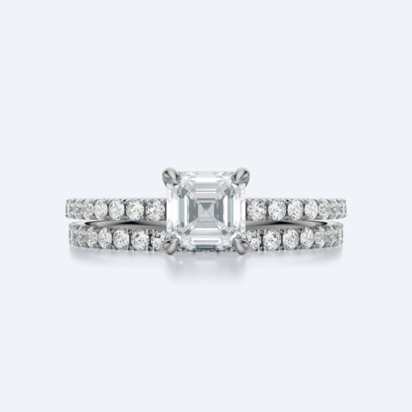 Anima asscher