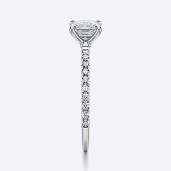 Anima asscher