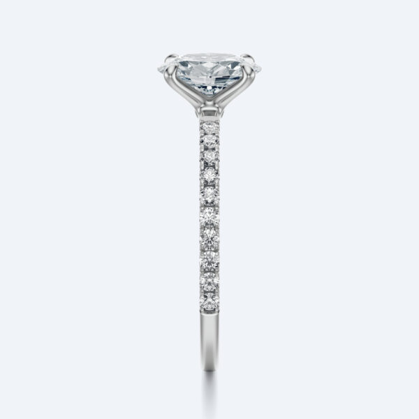 Anima oval