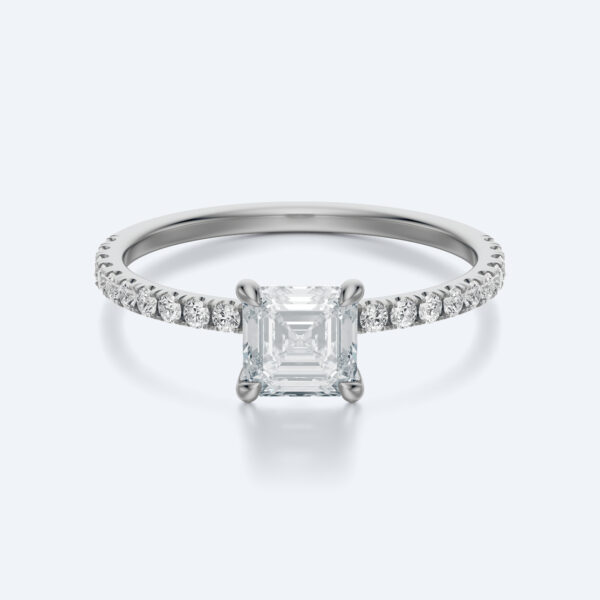 Anima asscher