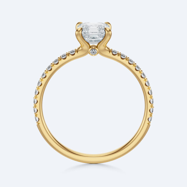 Anima asscher