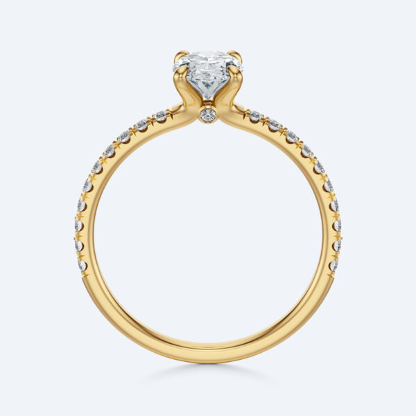 Anima oval