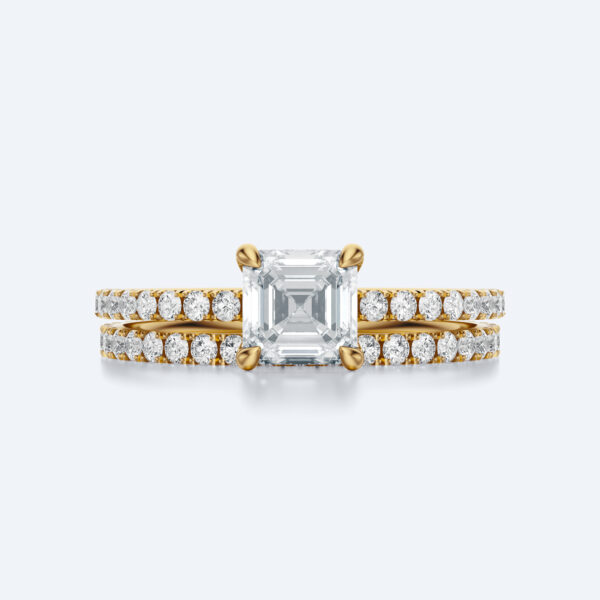 Anima asscher