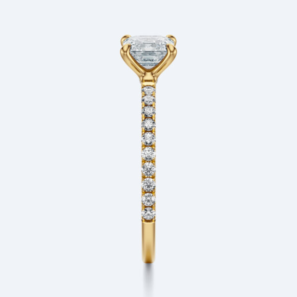 Anima asscher