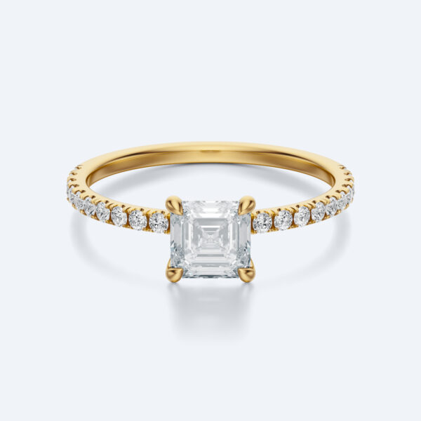 Anima asscher